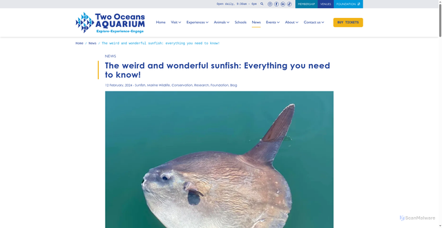 Security scan screenshot of https://www.aquarium.co.za/news/the-weird-and-wonderful-sunfish-everything-you-need-to-know