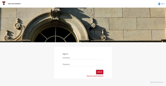 Security scan screenshot of https://texastech.my.site.com/portal