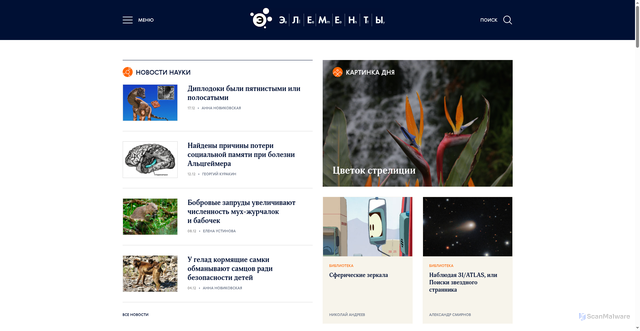 Security scan screenshot of https://elementy.ru