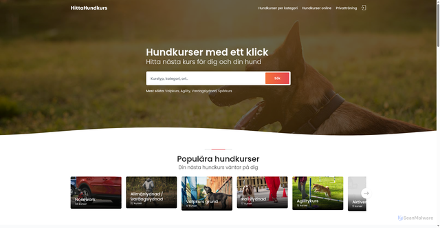 Security scan screenshot of https://hittahundkurs.se