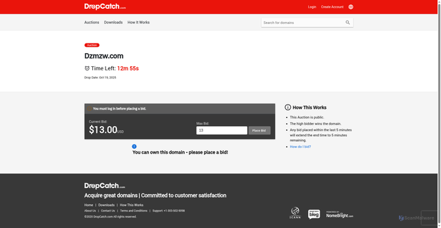 Security scan screenshot of https://dzmzw.com/
