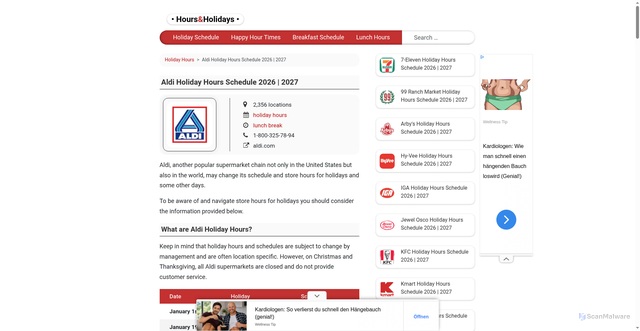 Security scan screenshot of https://hoursholiday.com/aldi
