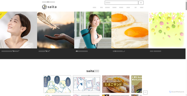 Security scan screenshot of https://saita-puls.com