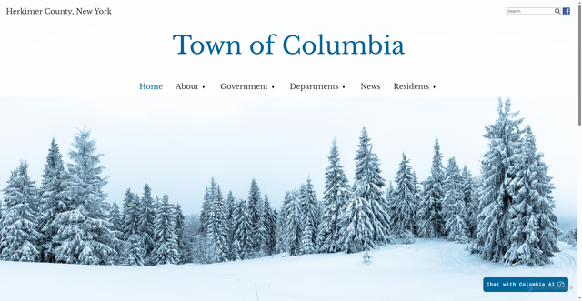 Security scan screenshot of https://townofcolumbiany.gov/