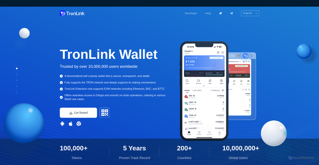 Security scan screenshot of https://www.tr0nlink.org/