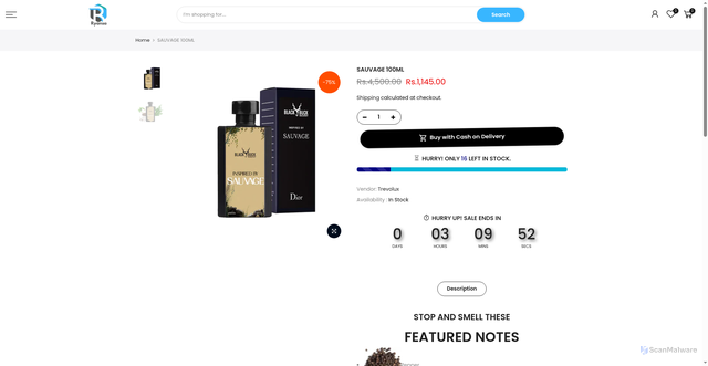Security scan screenshot of https://ryansamart.online/products/sauvage