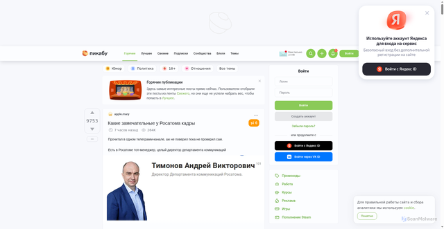 Security scan screenshot of https://d.pikabu.ru