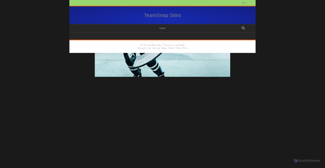 Security scan screenshot of https://teamsnapsites.com