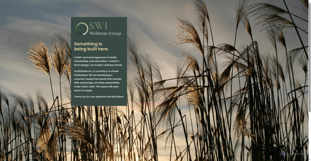 Security scan screenshot of https://swiwellnessgroup.com