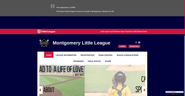 Security scan screenshot of https://www.montgomerylittleleague.org/