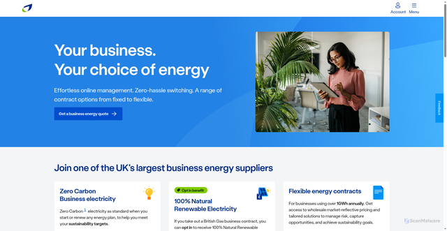 Security scan screenshot of https://business.britishgas.co.uk