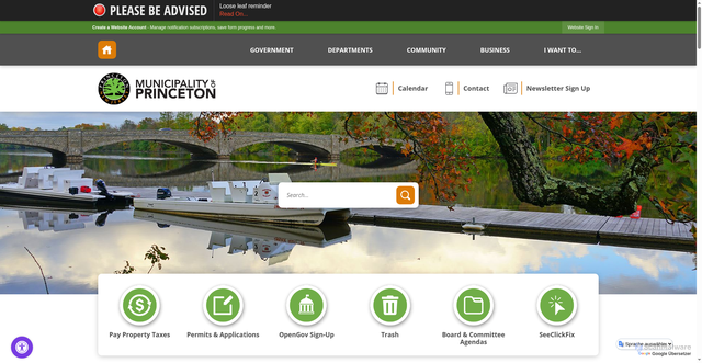 Security scan screenshot of https://princetonnj.gov/