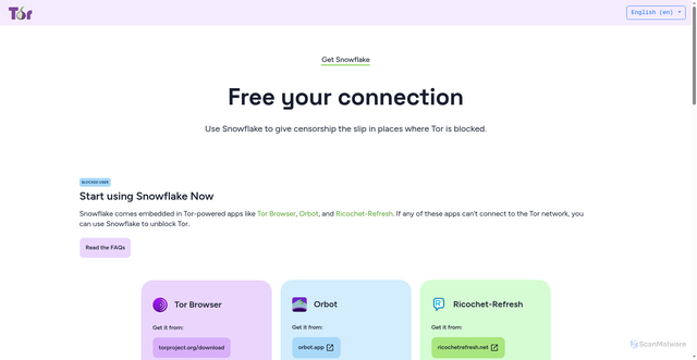 Security scan screenshot of https://snowflake.torproject.org/