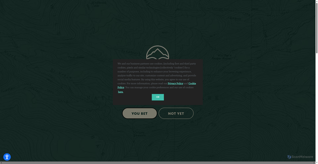 Security scan screenshot of https://wildbasinhardseltzer.com/recipes/copy-recipe-2/