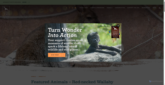 Security scan screenshot of https://www.cmzoo.org/animals/a-z/featured-animals-red-necked-wallaby/