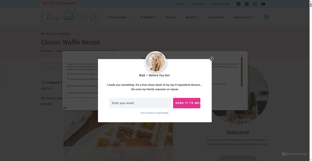 Security scan screenshot of https://iwashyoudry.com/classic-waffle-recipe/