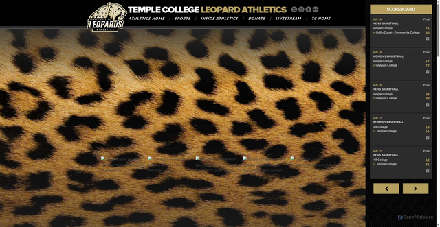 Security scan screenshot of https://tcleopards.com/