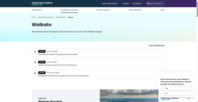Security scan screenshot of http://www.waikatodhb.govt.nz/