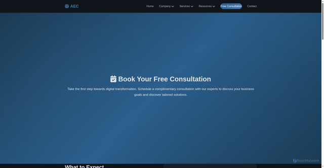 Security scan screenshot of https://afriqueeuropeconnexionvmetc.com/consultation.html