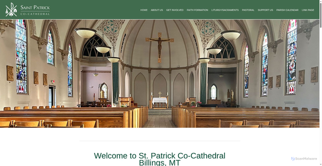 Security scan screenshot of https://www.stpatrickcocathedral.org/