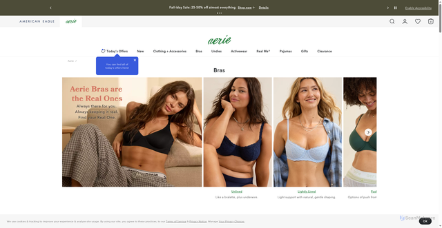 Security scan screenshot of https://www.ae.com/us/en/c/aerie/bras/cat4840012