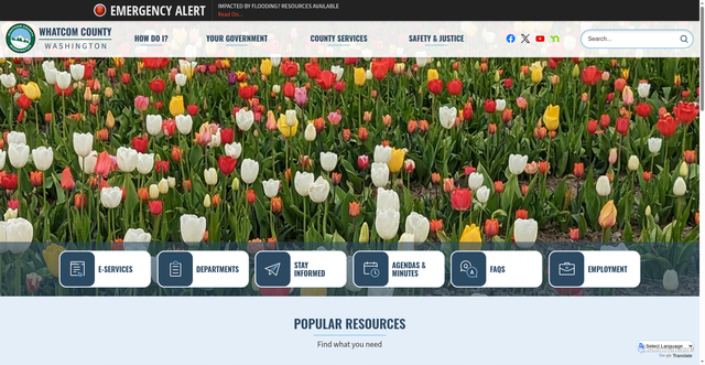 Security scan screenshot of https://www.whatcomcounty.us