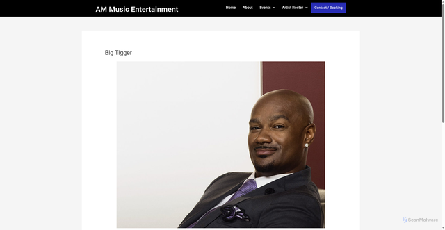 Security scan screenshot of https://www.ammusicentertainment.com/djs/big-tigger/