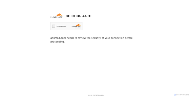 Security scan screenshot of https://aniimad.com