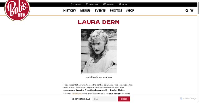 Security scan screenshot of https://bobs.net/pages/hall-of-fame-laura-dern