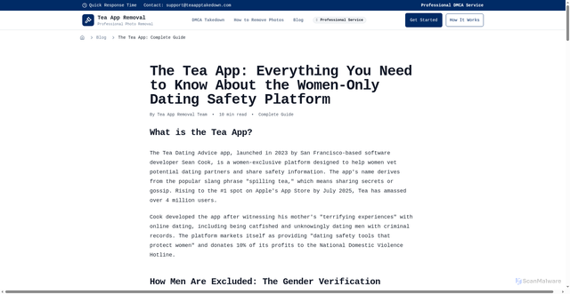 Security scan screenshot of https://teaapptakedown.com/blog/tea-app-complete-guide