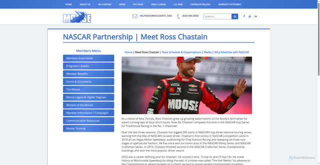 Security scan screenshot of https://www.mooseintl.org/moose-nascar-ross-chastain/