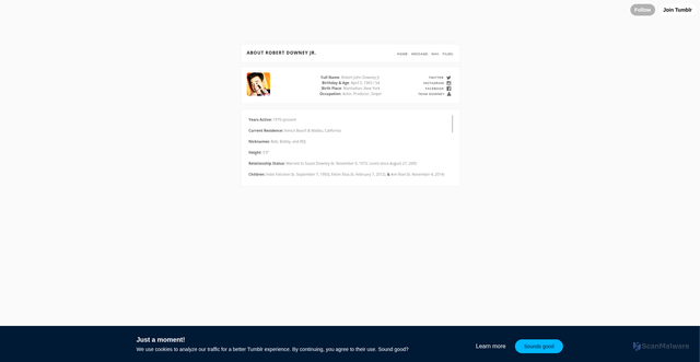 Security scan screenshot of https://dailyrobertdowneyjr.tumblr.com/aboutrobert