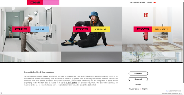 Security scan screenshot of https://cws.com