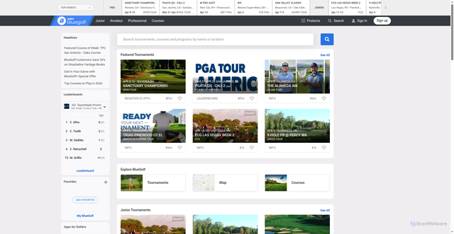 Security scan screenshot of https://img.bluegolf.org