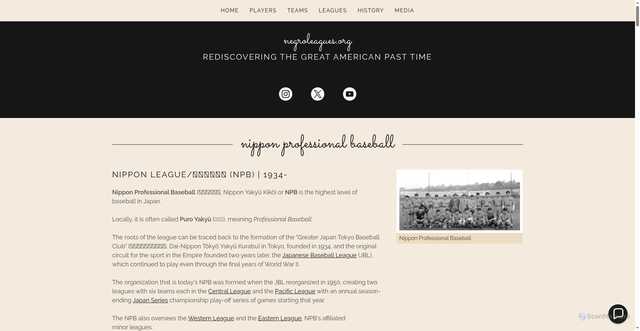 Security scan screenshot of https://negroleagues.org/nippon-pro-league