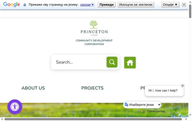 Security scan screenshot of https://www.princetontx.gov/cdc