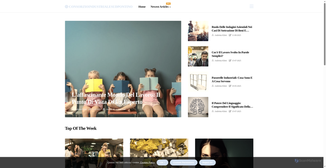 Security scan screenshot of https://www.consorzioindustrialesudpontino.it/