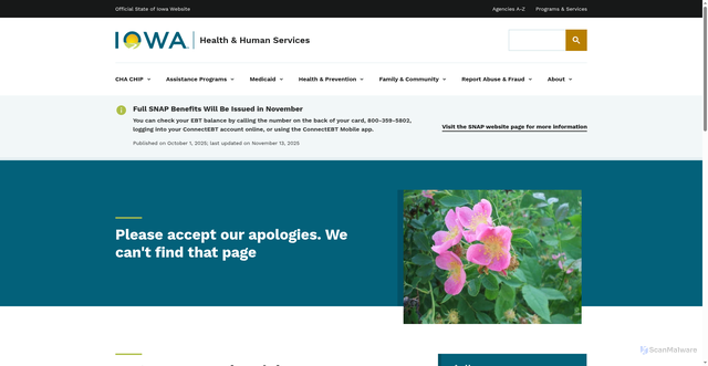 Security scan screenshot of https://hhs.iowa.gov/node/741/