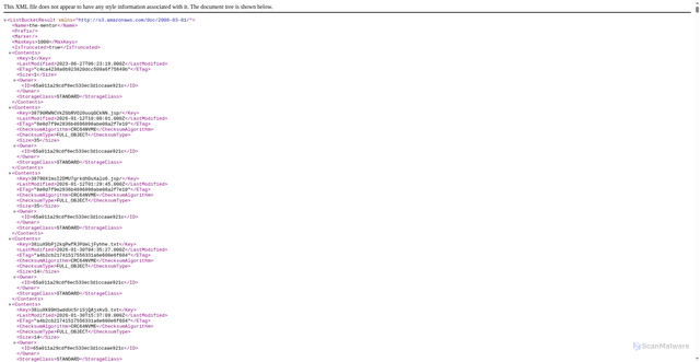 Security scan screenshot of https://the-mentor.s3.amazonaws.com