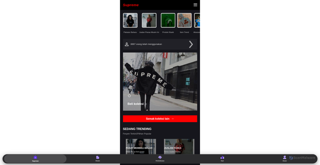 Security scan screenshot of https://supreme.forum/
