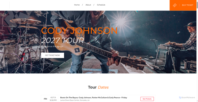 Security scan screenshot of https://www.codyjohnsonontour.com/