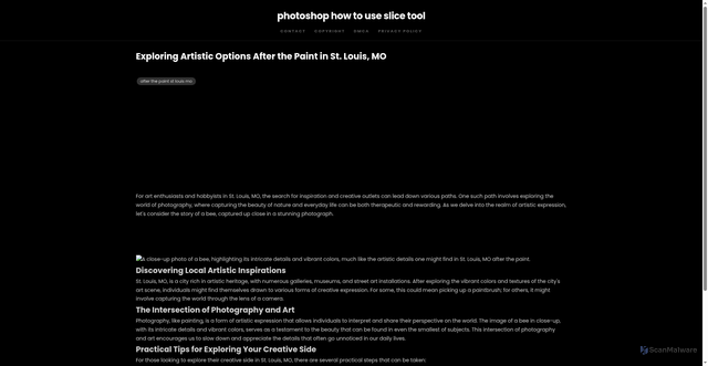 Security scan screenshot of https://lensanetworkblog-dpmeobwj7c3a.edgeone.app/after-the-paint-st-louis-mo.html