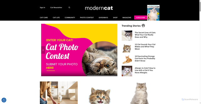 Security scan screenshot of https://moderncat.com/