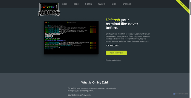 Security scan screenshot of https://ohmyz.sh/
