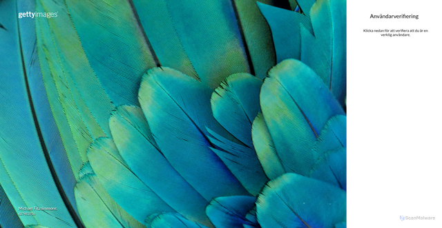 Security scan screenshot of https://www.gettyimages.se/fotografier/brigitte-bardot-son