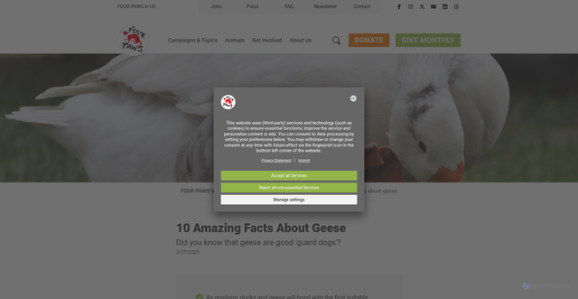 Security scan screenshot of https://www.fourpawsusa.org/campaigns-topics/topics/farm-animals/10-facts-about-geese