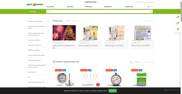 Security scan screenshot of https://zdoroveevo.ru