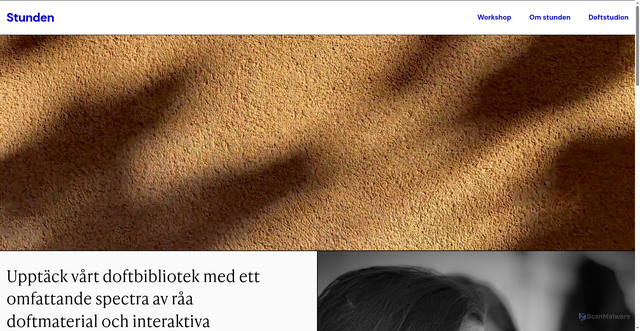 Security scan screenshot of https://stunden.se