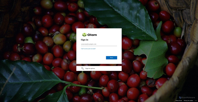 Security scan screenshot of https://sgvpngateway.olamnet.com