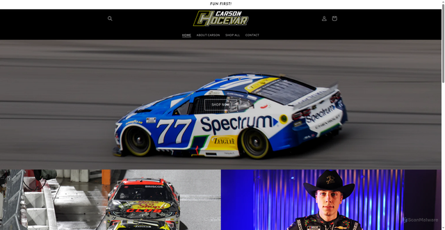 Security scan screenshot of https://shopcarsonhocevar.com/